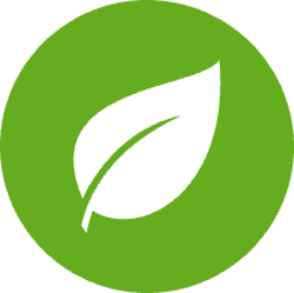 Leaf icon