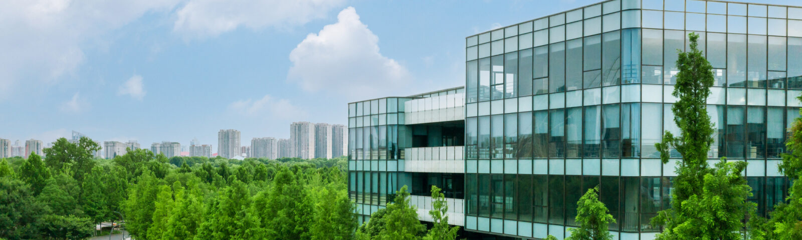 Istockphoto 1511301358